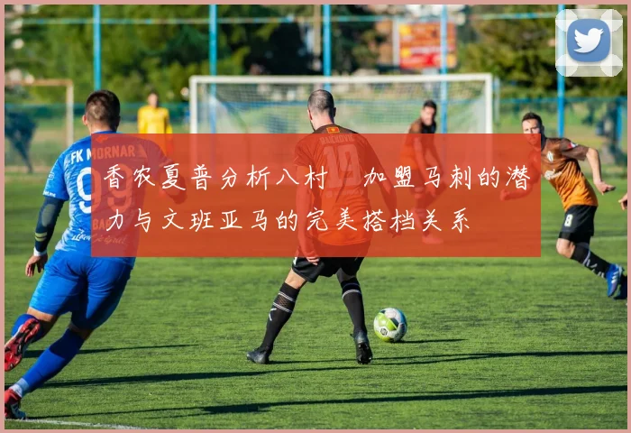 香农夏普分析八村塁加盟马刺的潜力与文班亚马的完美搭档关系